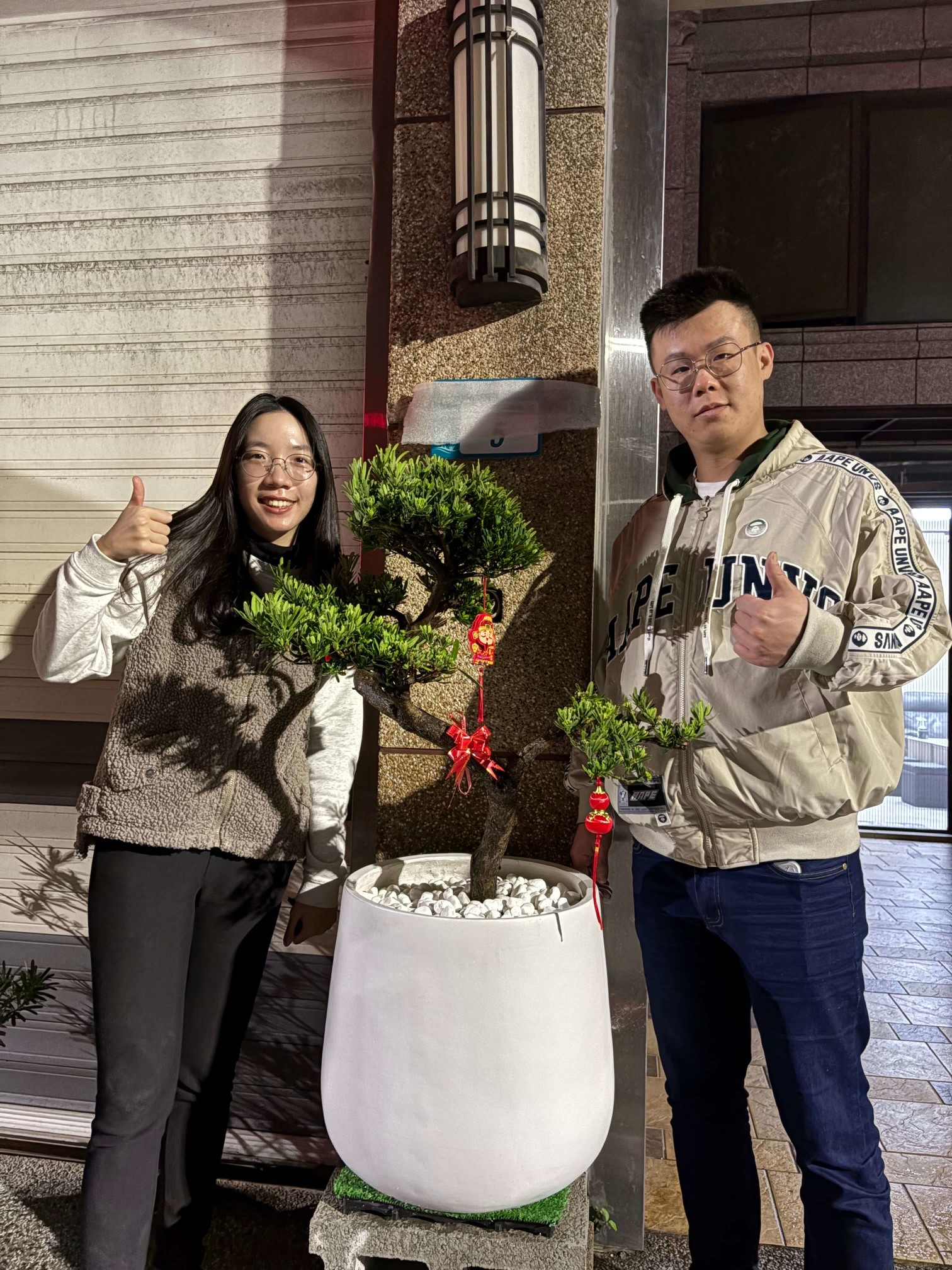 羅漢松 企業門面 | 風水植物的最佳選擇